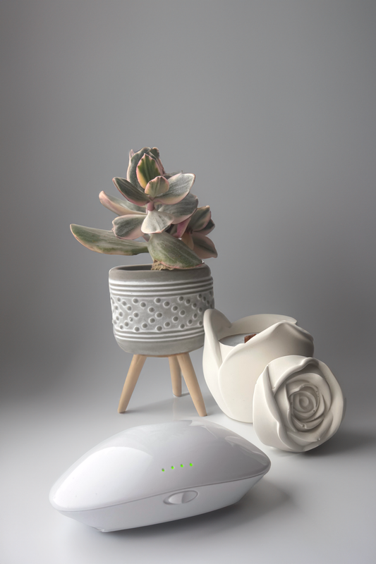 Menopod + FREE Soy Candle